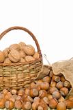 walnuts and hazelnuts