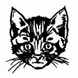 vector illustration. sketch of cat