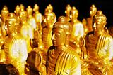 Many of Golden Buddha Statue