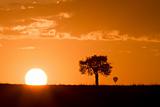 Masai mara sunrise with distant hot air balloon