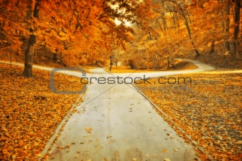 Autumn park lanes grunge photo