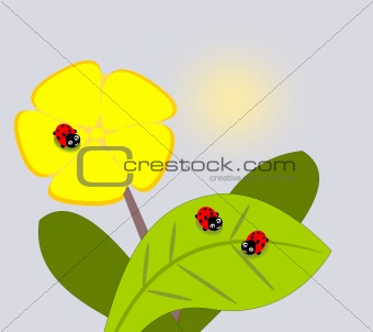 Ladybugs and Flower.