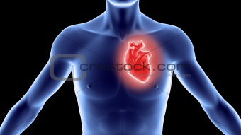 Human body with heart