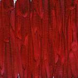 red abstract painted on canvas