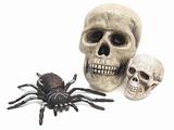 Two fake skulls and large rubber spider on white