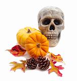 Halloween pumpkins and skull on white background