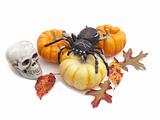 Still life of pumpkins, autumn leaves, fake spider and skull