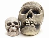 Large and small fake Halloween skulls