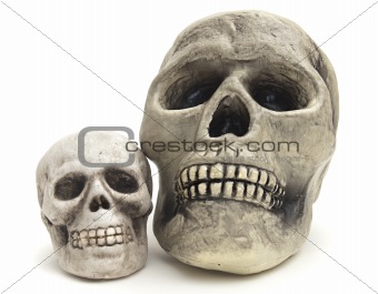 Large and small fake Halloween skulls