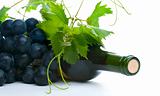 bottle of red wine with grapeleaf and grape