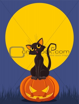 Halloween Cat on pumpkin