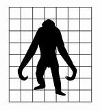 vector silhouette of the gorilla in hutch on white background