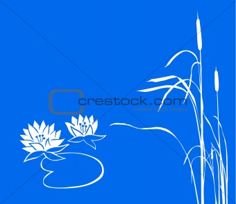 water lily and reed on  blue background. vector