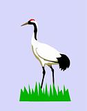 vector drawing of the crane on turn blue background
