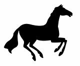 r silhouette horse on white background