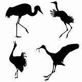 silhouettes of the cranes on white background