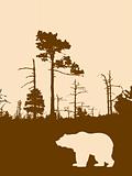 silhouette bear on background wild wood