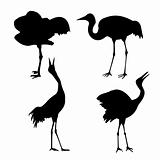 vector silhouette of the cranes on white background