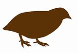 vector silhouette of the quail on white background