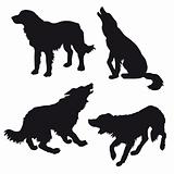 vector silhouette of the dog on white background