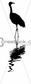 vector silhouette of the crane on white background