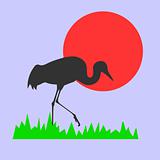 silhouette of the crane on background sun