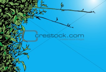 Leaf Background with Blue Sky