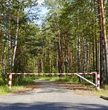 Barrier blocking road in woods