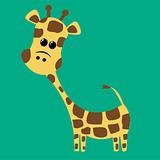a cute little giraffe