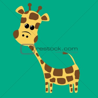 a cute little giraffe