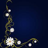 Floral Background Image