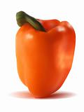Photo-realistic orange sweet pepper.
