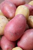 Red and white potatoes