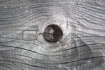 Wooden Knot Texture