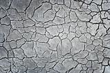 Cracked Pattern Texture