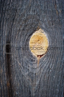 Wooden Knot Texture