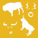 vector illustration oxen on yellow background