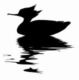 vector drawing fish duck on white background