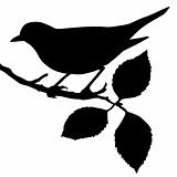 silhouette of the bird on branch