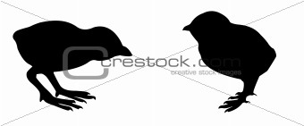 vector silhouette two nestlings on white background