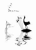 silhouette of the birds on lake