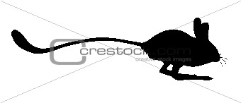 silhouettes of the jerboa  on white background