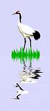 vector  drawing of the crane on turn blue background
