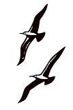 vector silhouettes of the sea birds