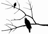silhouette of the birds on tree