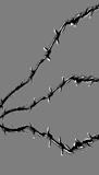 vector illustration of the barbed wire on gray background