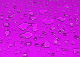 bright pink water drops background 
