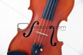 Viola Violin Isolated on White