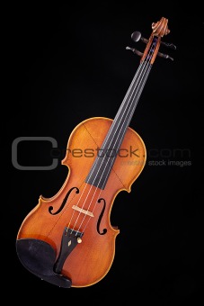 Complete Violin Viola Isolated on Black