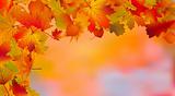 Abstract colorful autumn background